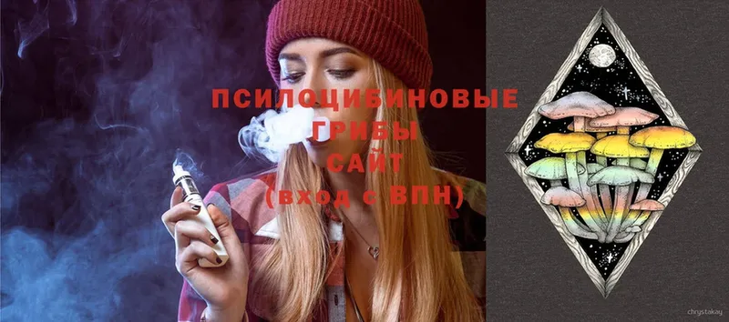 цены наркотик  Рубцовск  OMG маркетплейс  Псилоцибиновые грибы MAGIC MUSHROOMS 